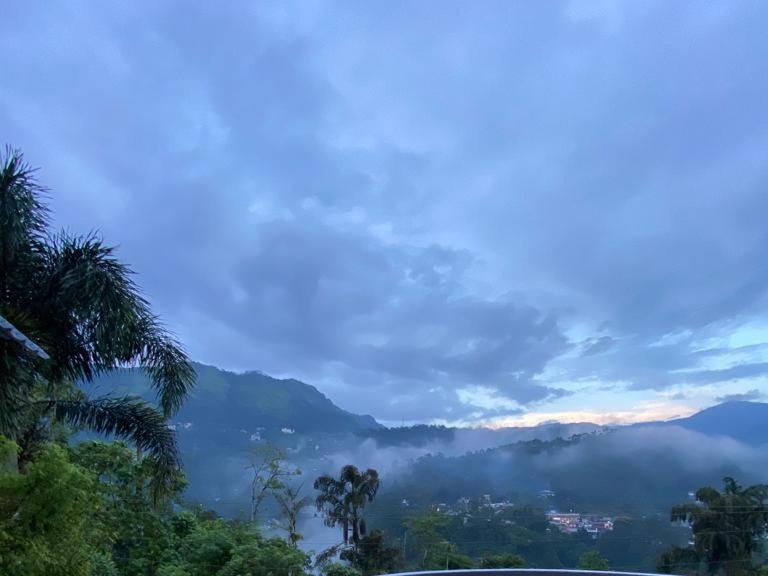 Munnar Blue Mist Bed & Breakfast Ngoại thất bức ảnh