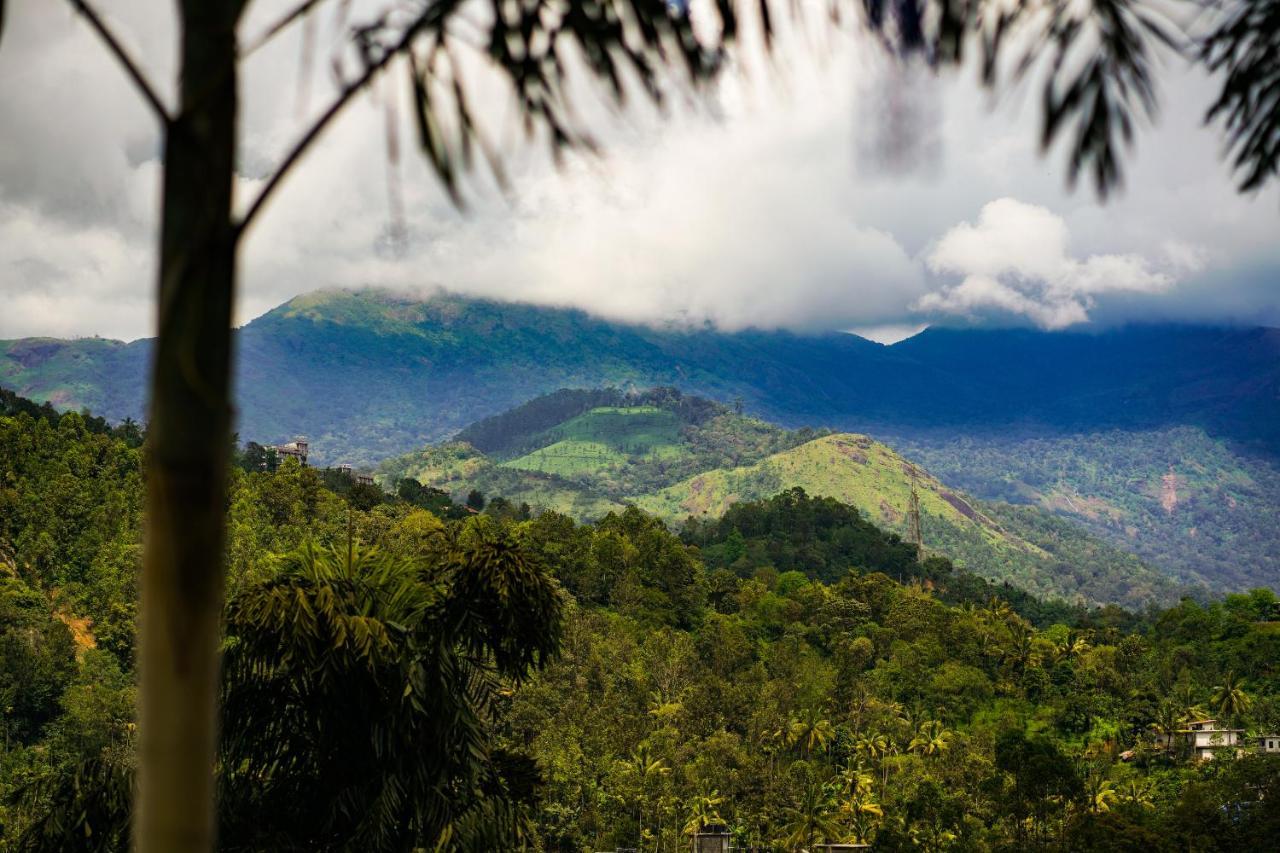 Munnar Blue Mist Bed & Breakfast Ngoại thất bức ảnh