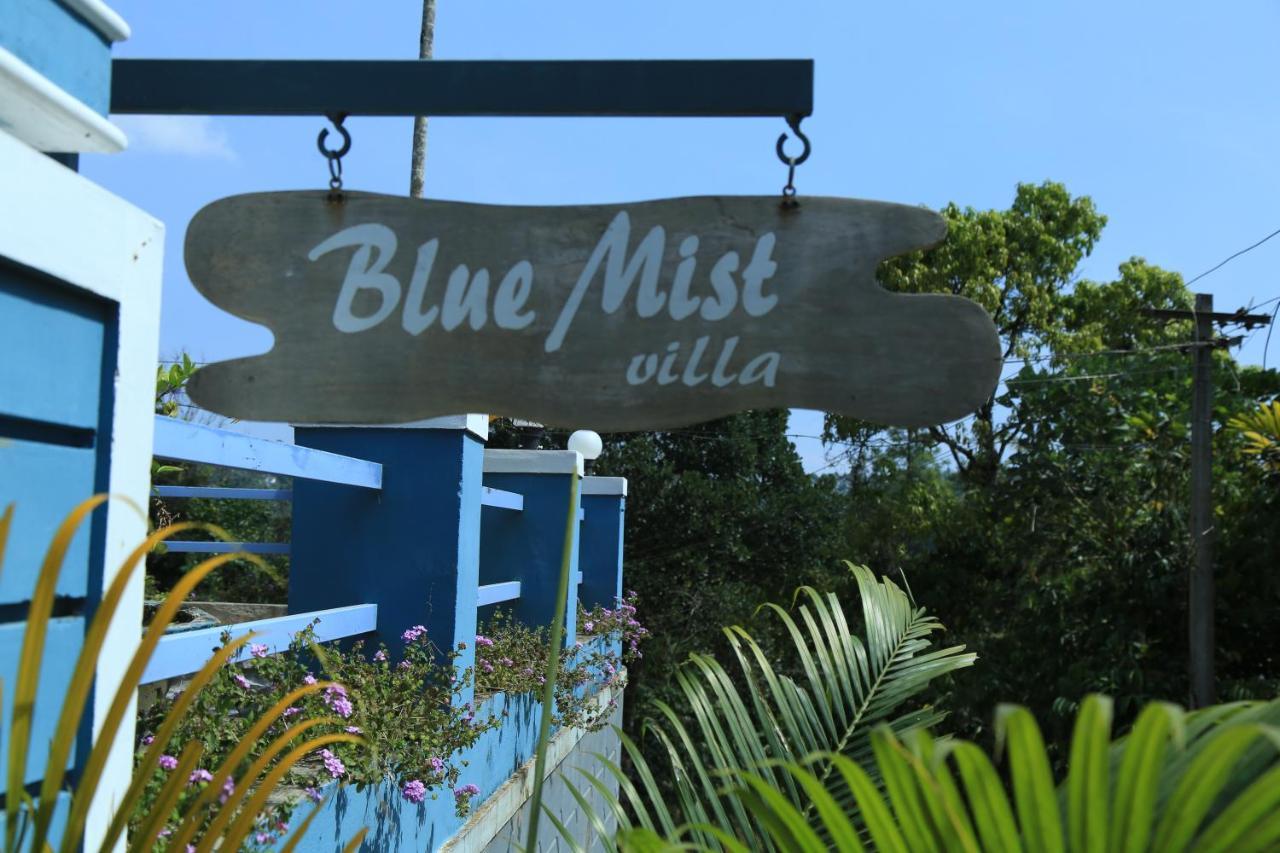 Munnar Blue Mist Bed & Breakfast Ngoại thất bức ảnh